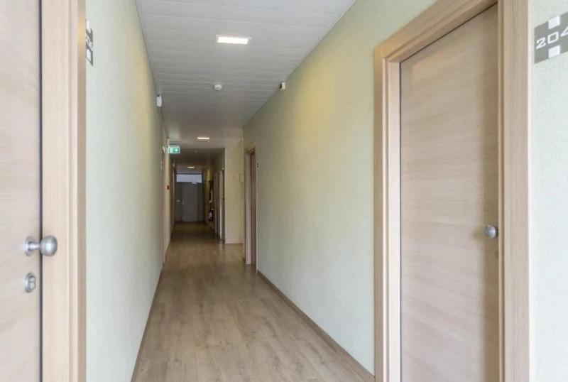 Hotel Rex Misano Adriatico Eksteriør bilde